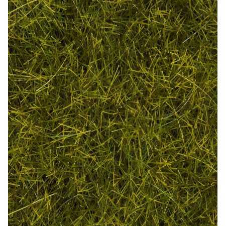 Wild Grass XL "Meadow"