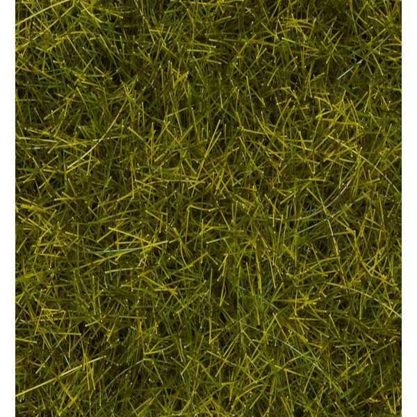 7095 Wild Grass XL "Meadow"