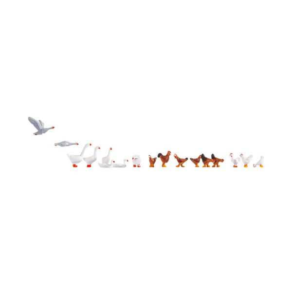 15772 Galinhas e patos Esc H0