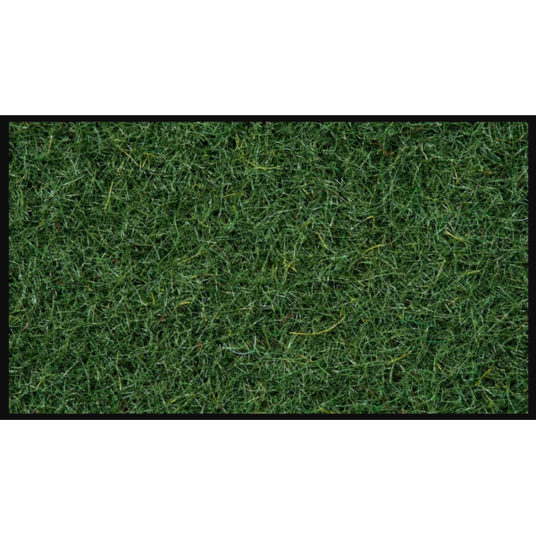 50200 Relva 2,5mm saco de 100 gr "Summer Meadow"