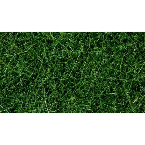 7106 Erva selvagem verde escura Wild Grass Darck Green